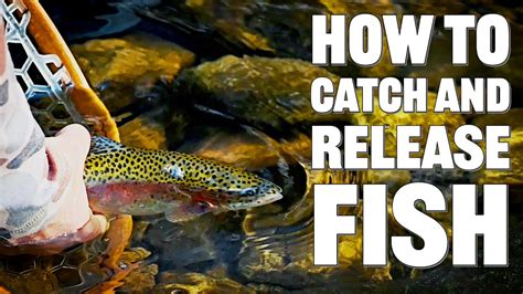 catch and release fishing history
